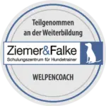 Welpencouch - Welpenschule in Hamburg