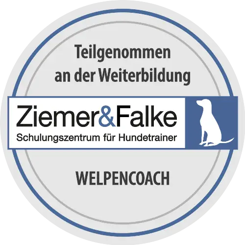 Welpencouch - Welpenschule in Hamburg