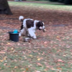 Neueste Fotos anzeigen 3