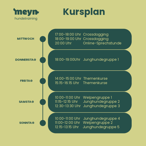 Kursplan Meynhundetraining - Deine Hundeschule in Hamburg